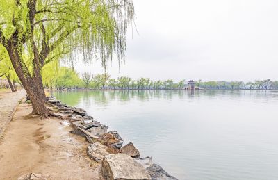 春到颐和园
