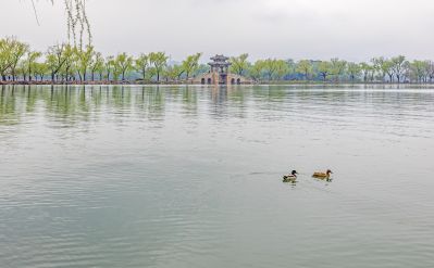 春到颐和园