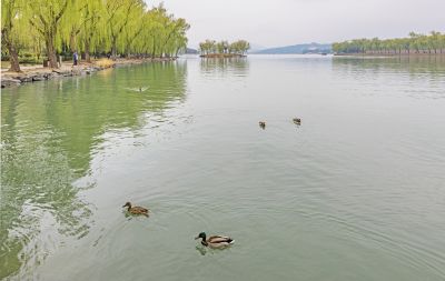 春到颐和园