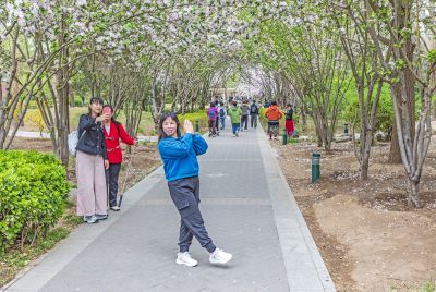 玉渊潭春色