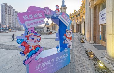 外滩湿地初春暮色