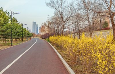 外滩湿地初春暮色