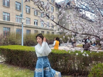 哈尔滨工程大学山杏花开市民拍照