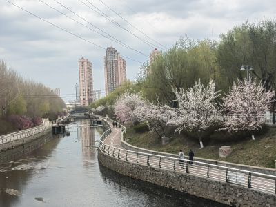 哈尔滨何家沟畔春色