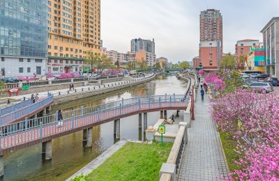 南岗的春天