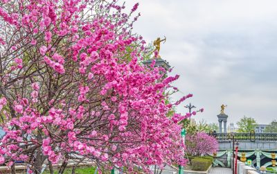 南岗的春天