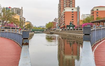 南岗的春天