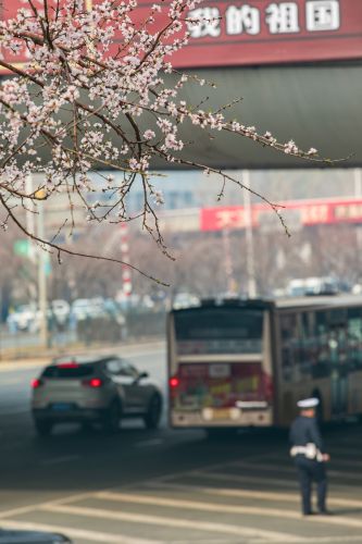 文政街春景