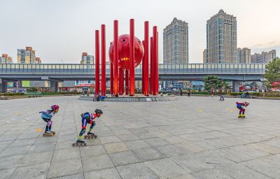 和兴路夜色春花