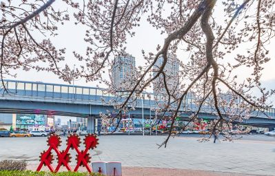 和兴路夜色春花