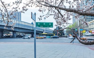 和兴路夜色春花