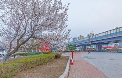 和兴路夜色春花