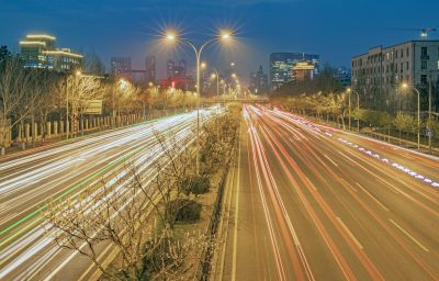 和兴路夜色春花