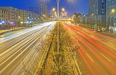 和兴路夜色春花