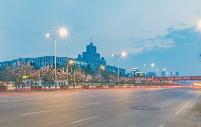 和兴路夜色春花