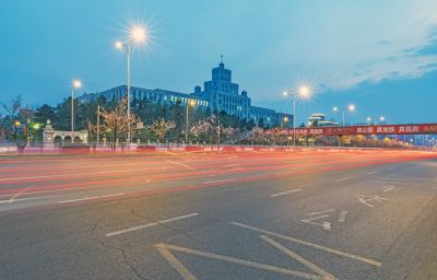 和兴路夜色春花