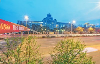 和兴路夜色春花