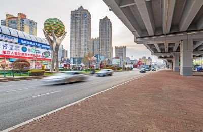 和兴路夜色春花