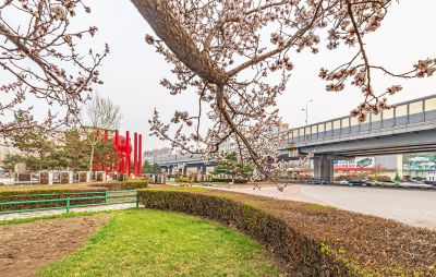 和兴路夜色春花