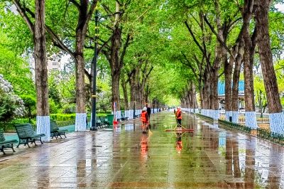 斯大林公园雨后