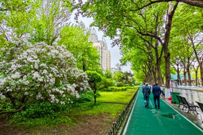 斯大林公园雨后