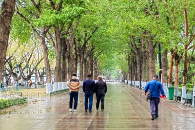 斯大林公园雨后