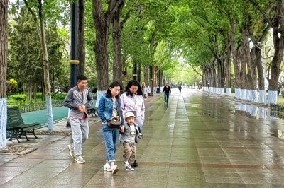 斯大林公园雨后