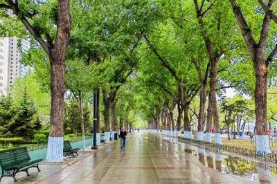 斯大林公园雨后