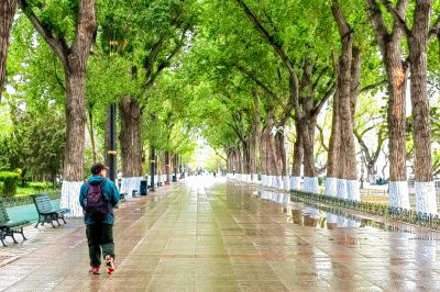 斯大林公园雨后