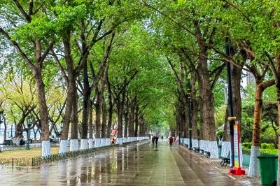 斯大林公园雨后