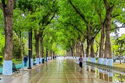 斯大林公园雨后