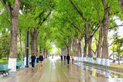 斯大林公园雨后