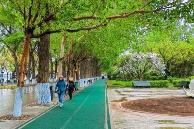 斯大林公园雨后