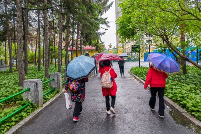 雨中看风景