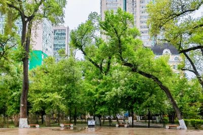 雨中看风景