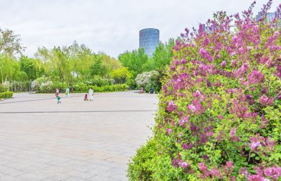 丁香公园