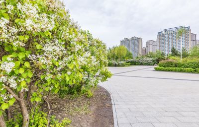 丁香公园