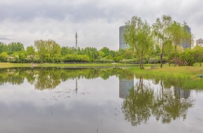 丁香公园