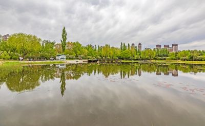丁香公园