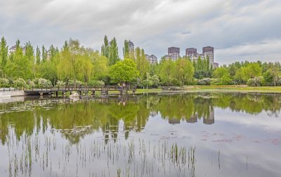 丁香公园