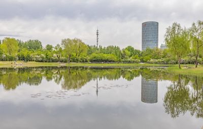 丁香公园