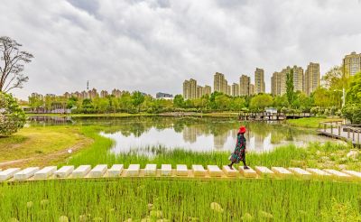 丁香公园