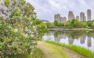 丁香公园