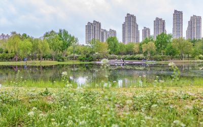 丁香公园