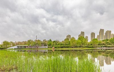 丁香公园