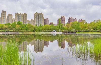 丁香公园