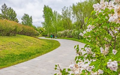 丁香公园
