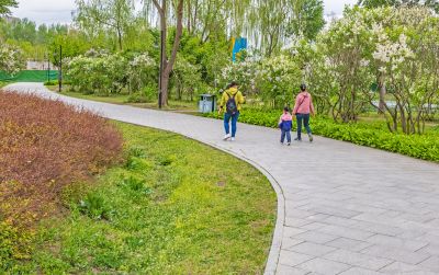 丁香公园