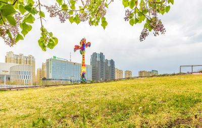 丁香公园丁香花开