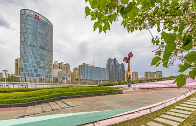 丁香公园丁香花开